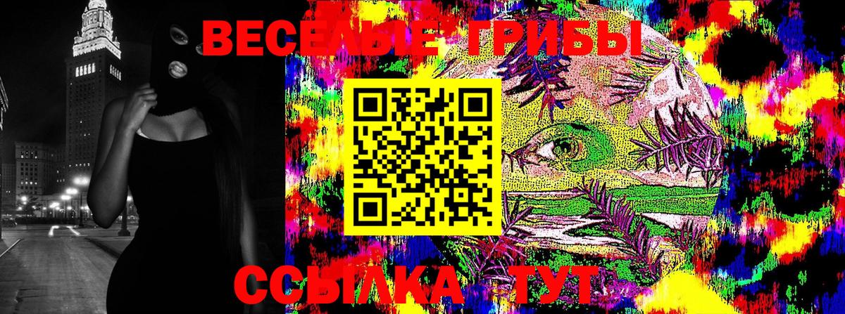 Железноводск  Псилоцибиновые грибы прущие грибы  Вход с VPN 